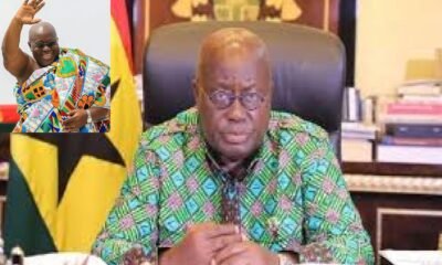 President, Nana Akufo-Addo