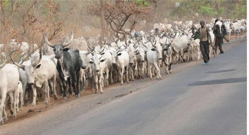 violance attacks between farmers and herdsmen in Nigeria