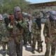 U.S Air Strike Kills 27 al Shabaab militants In Somalia