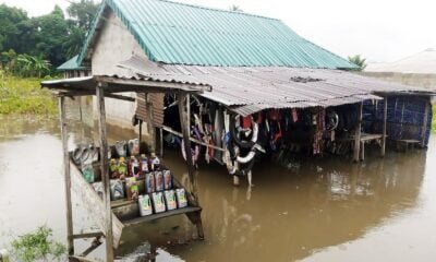 Over 600 People De@d In An 'Overwhelming' Nigerian Floods