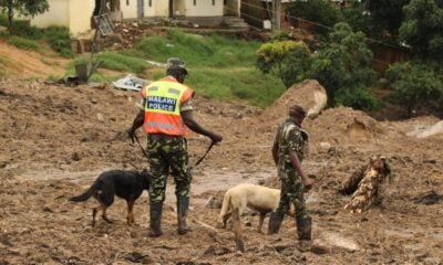 Death Toll Hits 326 In Malawi- Rescue Team Deploys Sniffer Dogs