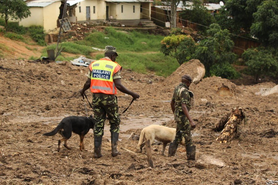 Death Toll Hits 326 In Malawi- Rescue Team Deploys Sniffer Dogs