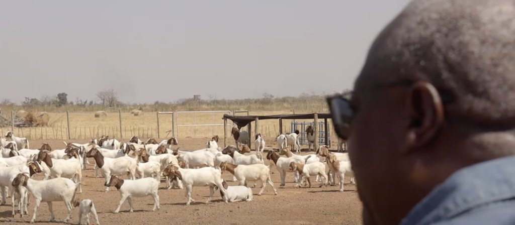 President-Elect Mahama Plans to Pursue Full-Time Farming After Politics