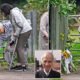 12-Year-Old Girl Charged with Manslaughter After Attack on 80-Year-Old Dog Walker