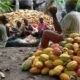 Weak Cocoa Harvest and Inflation Risks Could Derail Ghana’s Economic Outlook, IMF Warns