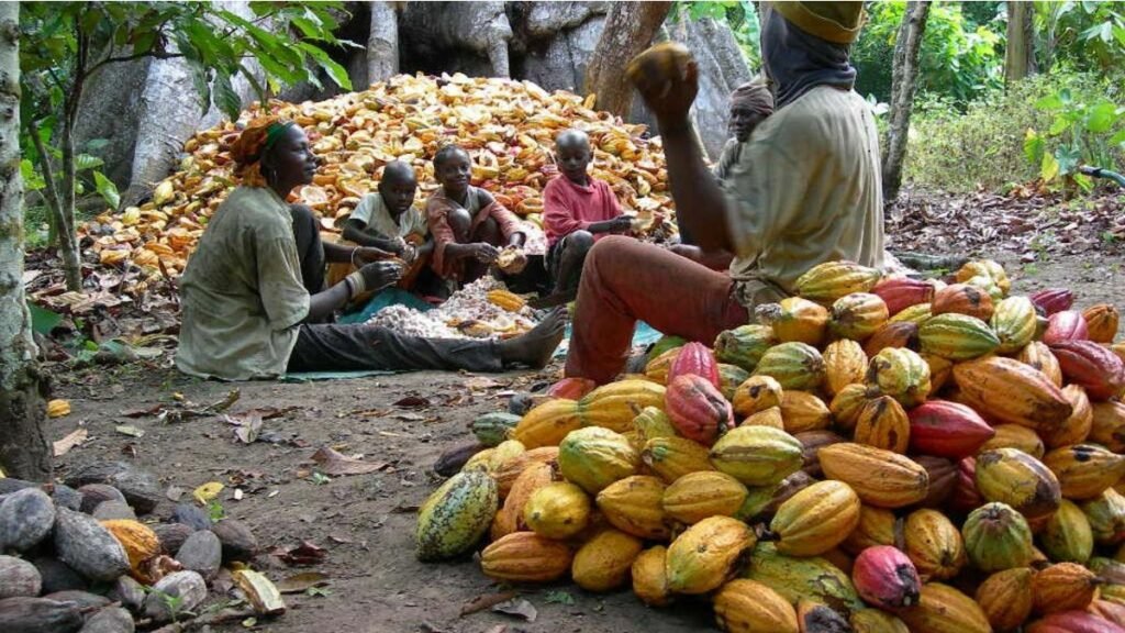 Weak Cocoa Harvest and Inflation Risks Could Derail Ghana’s Economic Outlook, IMF Warns