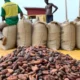 COCOBOD Denies Claims of Increased Cocoa Earnings to 70% of Global Market Price