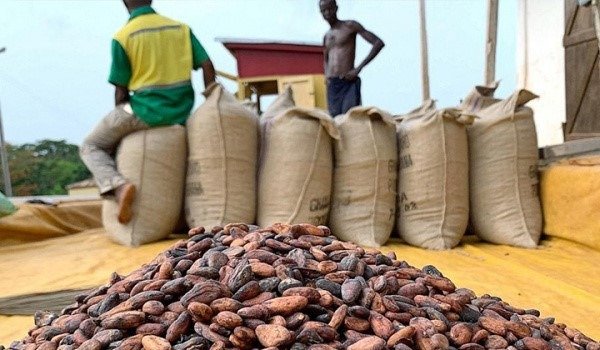 Ghana Fights Back: Mahama Orders Bold Action Against U.S. Cocoa Tariffs